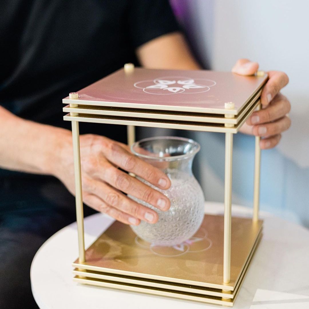 Leela Quantum Tech: Infinity Bloc - Elite Holistic Fitness