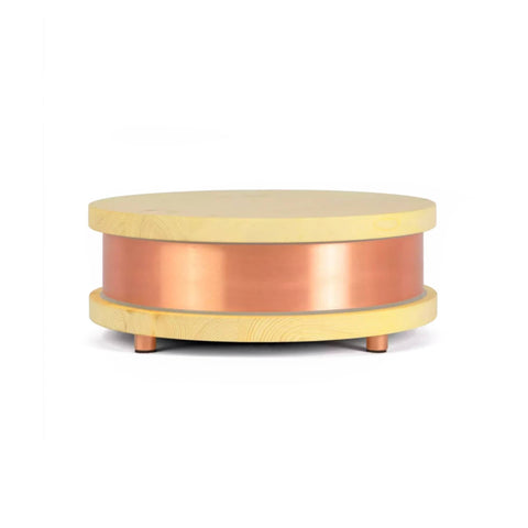 Qi-Home Cell EMF Protection with Waveguard Technology