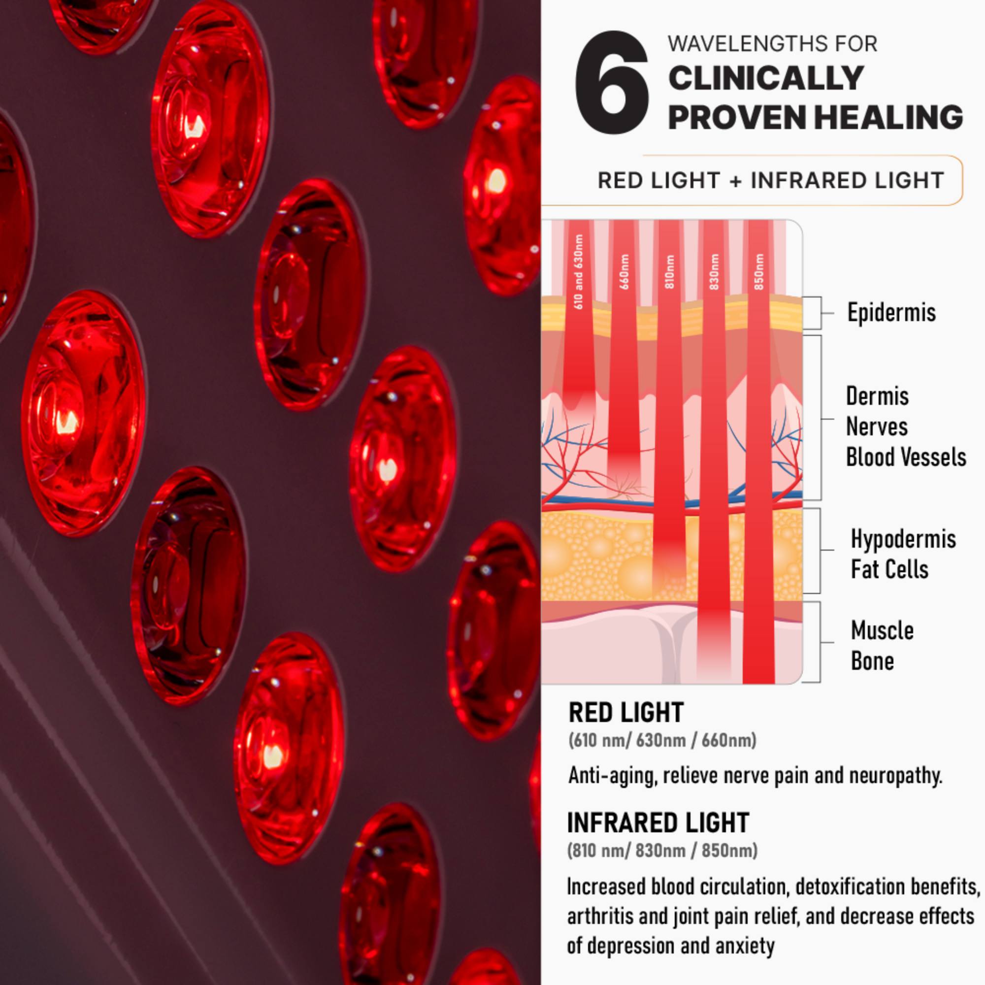UltraLux Health: Red Max - Elite Holistic Fitness